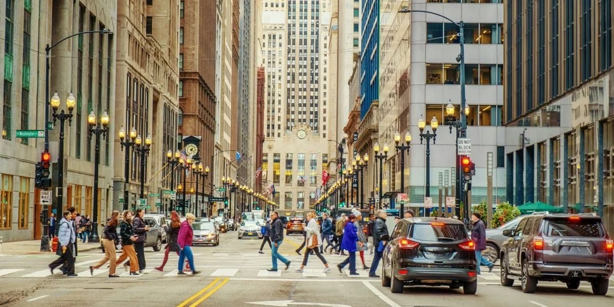 The Chicago Journal article image