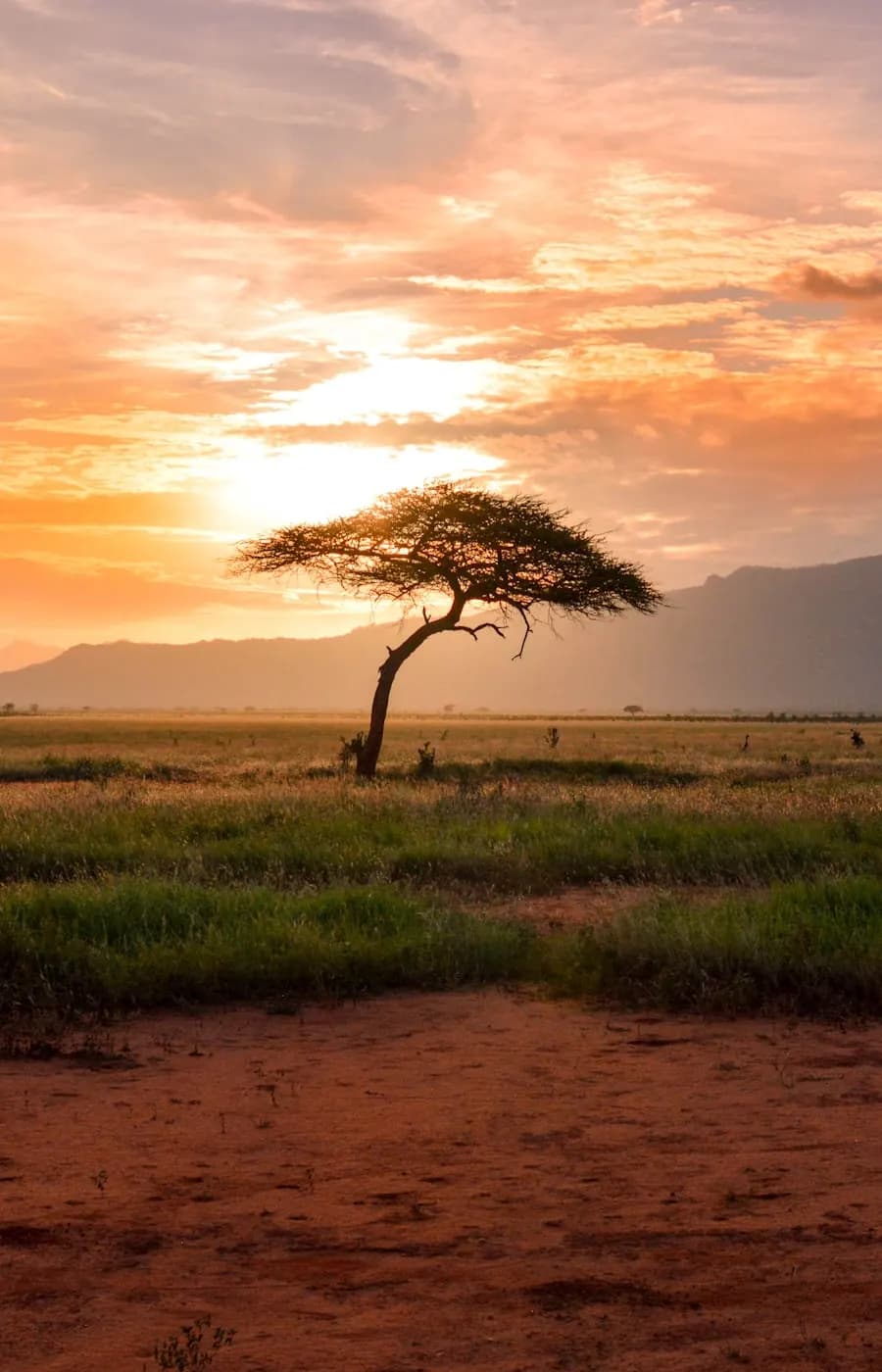 Kenya