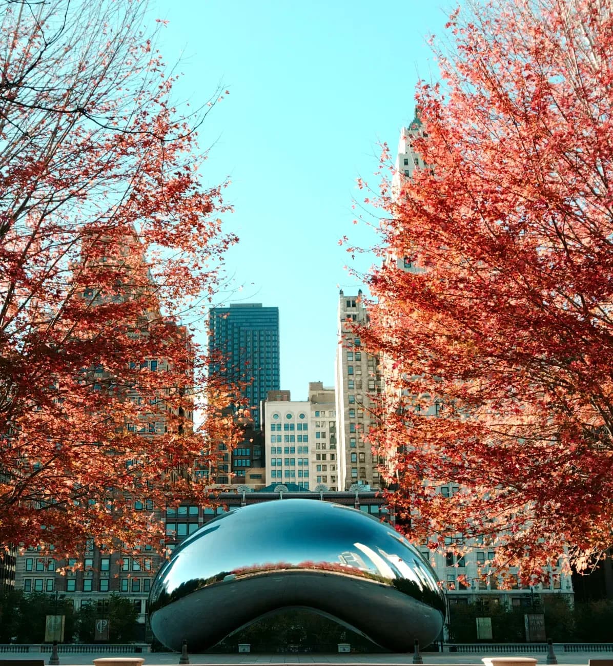 Vehicle registration services in Illinois