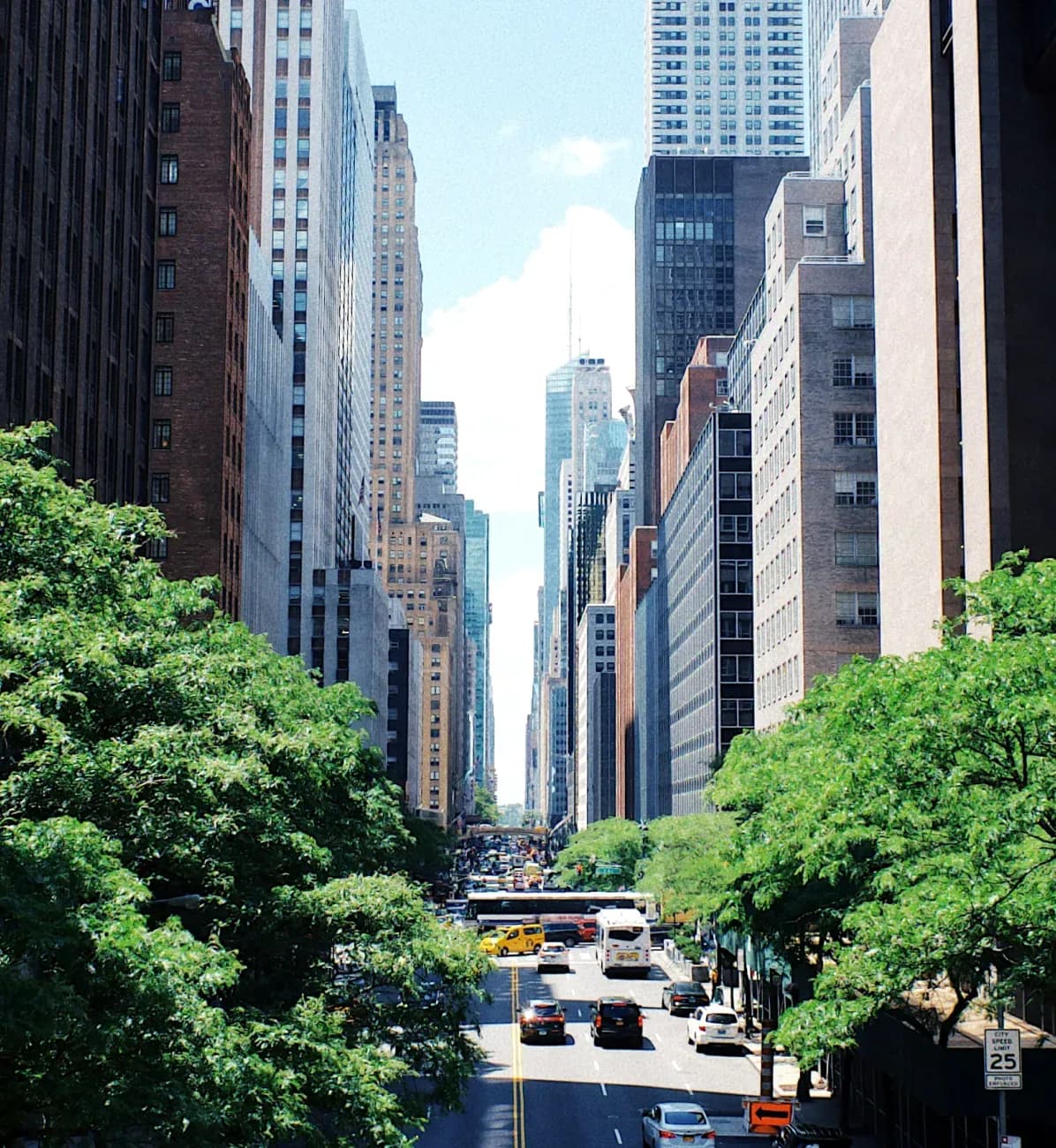Vehicle registration services in New York